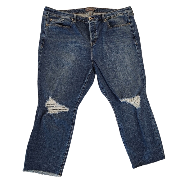torrid Denim - Torrid High Rise | Button Fly | Med-Wash | Classic Denim Jeans - Women 20 SHORT